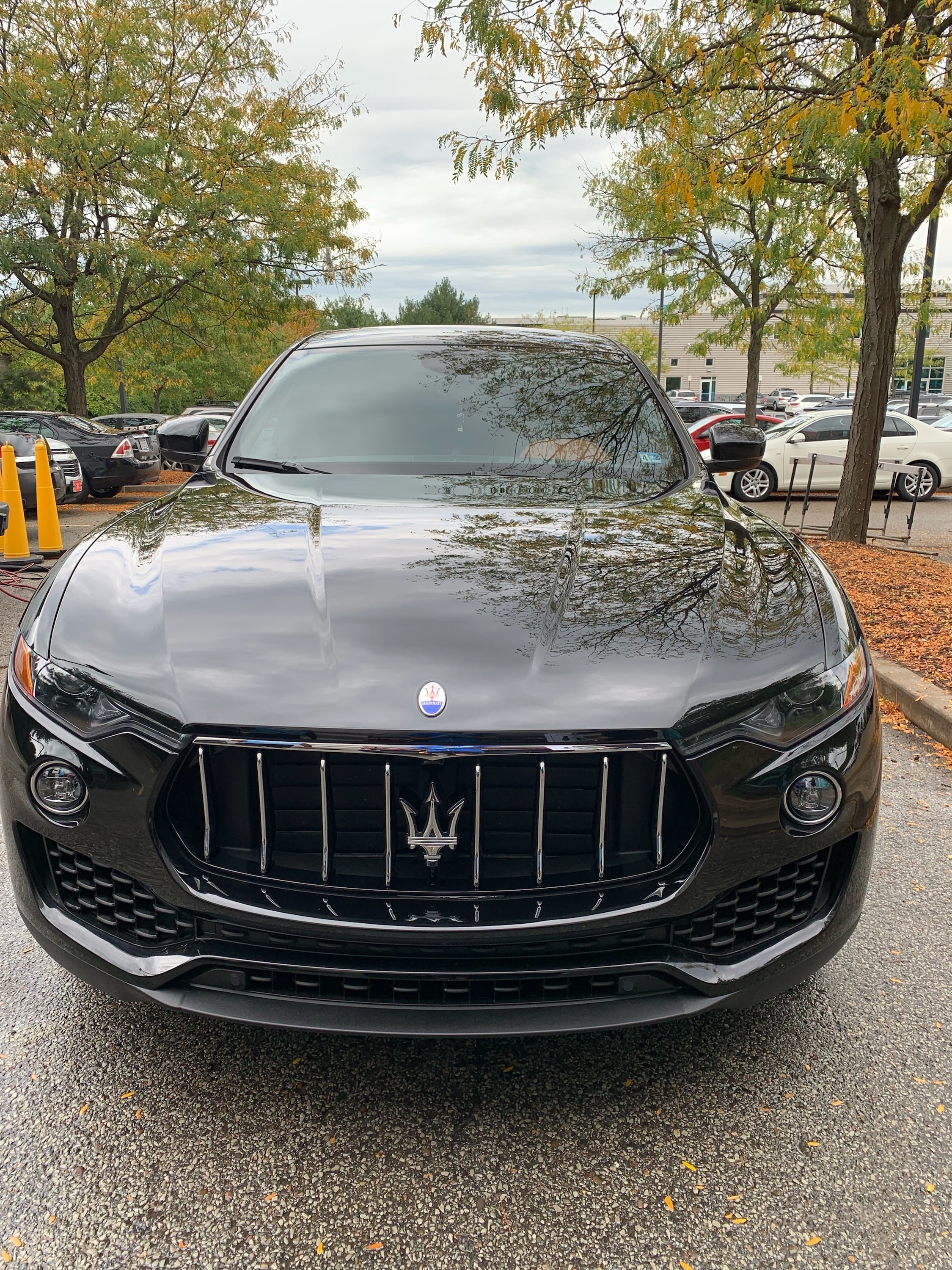 Black Maserati gleaming grille close-up after detail